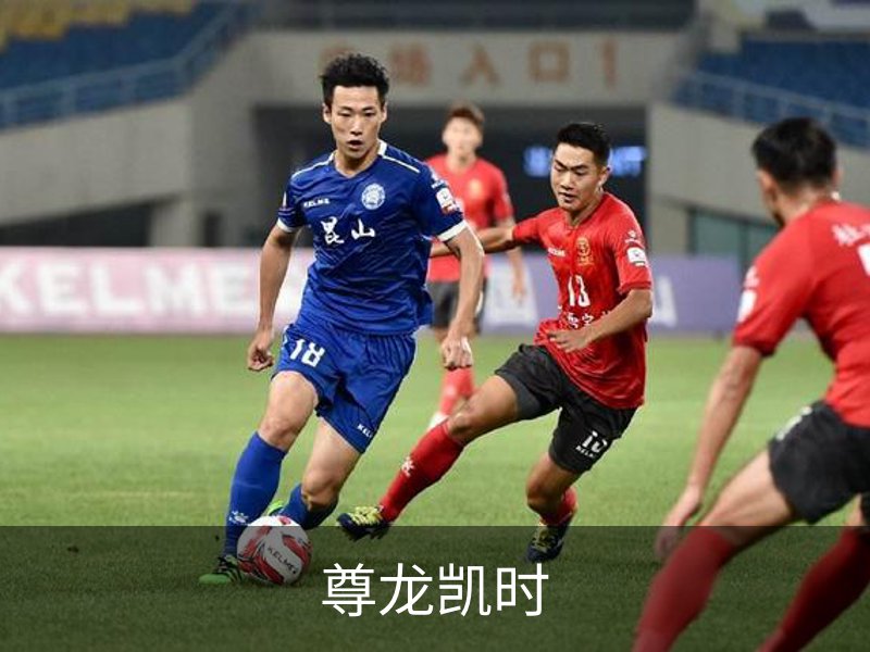 尊龙凯时介绍